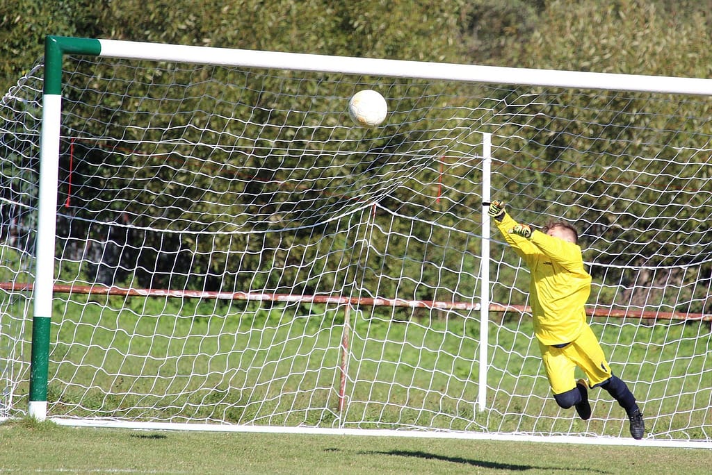 goalkeeper reflex training