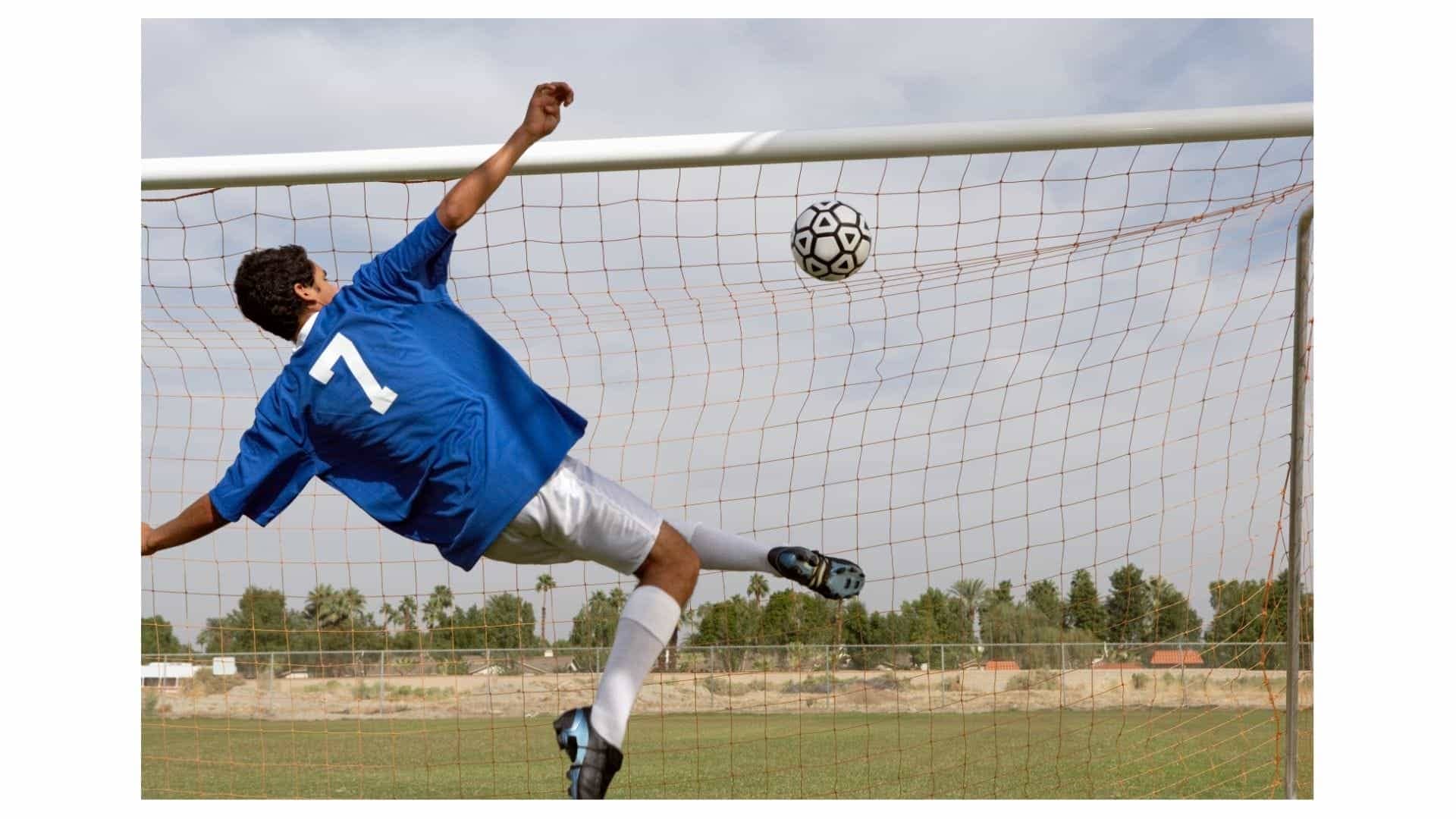 goal soccer goals